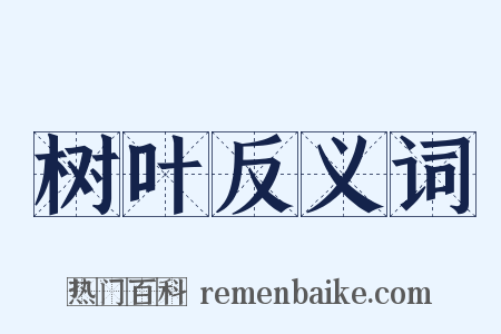 树叶反义词是什么意思的图片